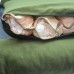 Автокрісло сумка-переноска лежак Zoo-hunt Бліц для котів та малих порід собак 50х60х42 см зелений 