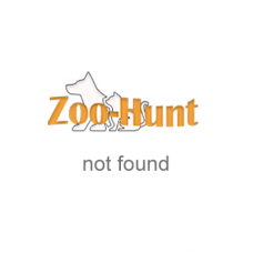 Лежак для котів та собак Zoo-hunt з фетра Емілі сірий №1 30х40х9 см